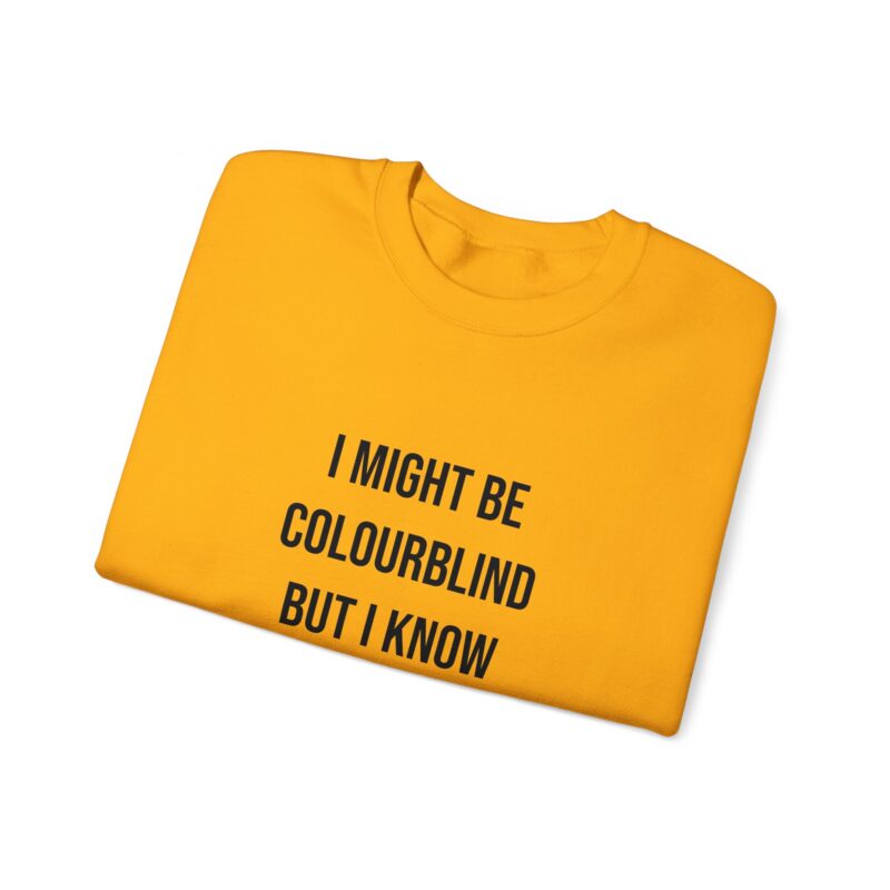 Colourblind Funny Graphic Meme Sweatshirt - Image 47